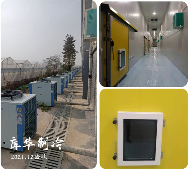 大型冷庫如何合理設計規劃建造？ 