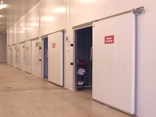 300平方中型工業凍庫建造案例