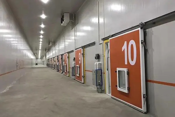 國內冷庫投資將進入重大機遇期